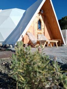 特来凡林Nomade Patagonia Glamping & Domos的小屋前的两把椅子和帐篷