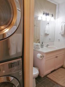 镭温泉Bright 3 bed 3 bath House in Radium Hot Springs的一间带水槽和洗衣机的浴室
