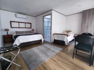 孔斯蒂图西翁Casa Hotel Trocha Angosta的一间卧室配有两张床和椅子
