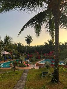 拉斯拉哈斯拉斯拉哈斯住宿加早餐旅馆的棕榈树和游泳池的度假村