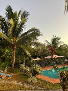 拉斯拉哈斯拉斯拉哈斯住宿加早餐旅馆的一座棕榈树和遮阳伞的度假游泳池