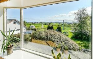 阿瓦尔斯内斯Nice Home In Avaldsnes With House A Panoramic View的窗户,种有植物,享有庭院的景色