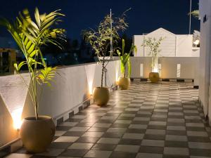 蓬蒂切里Le Poshe Suite的夜晚在阳台上种植一排盆植物
