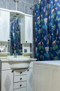 哥鲁拜克Apartment Amore Mio的浴室设有水槽和蓝色的浴帘