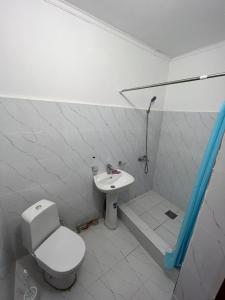 巴尔喀什Гостиница Набережная的一间带卫生间和水槽的浴室
