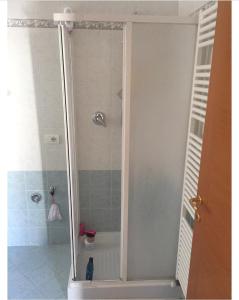 圣贝内代托-德尔特龙托delizioso appartamento的设有带卫生间的浴室内的淋浴间