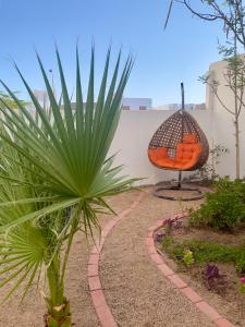 达哈布Tranquilo Boutique Hostel - Dahab的花园里的植物和橙色椅子
