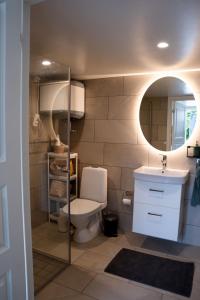 马尔默Your own 30sqm house with kitchen, sauna and loft.的一间带卫生间、水槽和镜子的浴室