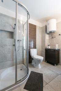 Dom Wakacyjny - Las i rzeka的带淋浴、卫生间和盥洗盆的浴室