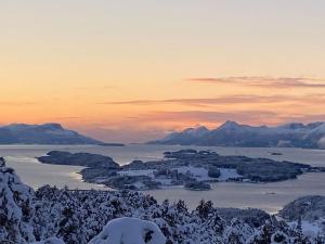 ÅrøyFeriehus nær badeplass og Molde sentrum的积雪覆盖的树木覆盖的水域中的岛屿