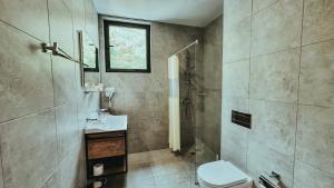 加格拉Парк СПА Отель Нарт的带淋浴、卫生间和盥洗盆的浴室