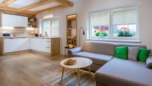 特尔乔夫Apartmán Vrátna的带沙发和桌子的客厅以及厨房。