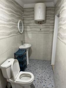 LaminHoliday home的一间带卫生间和水槽的浴室