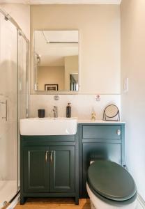 廷特恩Holmleigh cottage的一间带水槽、卫生间和镜子的浴室