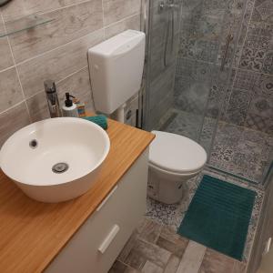 波利亚纳Apartman Pelargo的一间带水槽、卫生间和淋浴的浴室