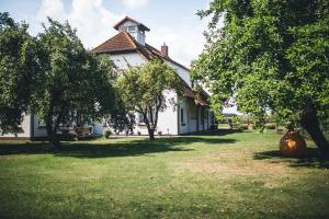 克劳斯多夫Pension Schwalbenhof的院子里有树木的白色房子