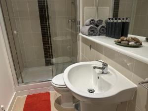 伦敦Modern, Large Independent Room with En-suite Bathroom in Private Owned Apartment的浴室配有卫生间、盥洗盆和淋浴。