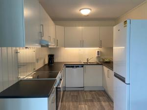 艾于兰Winjum Apartments Aurland Stegastein的厨房配有白色橱柜和黑色台面