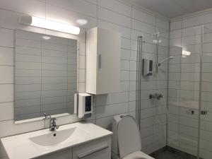 艾于兰Winjum Apartments Aurland Stegastein的浴室配有卫生间、盥洗盆和淋浴。