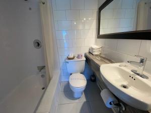 萨格奈全景风光汽车旅馆的一间带卫生间和水槽的浴室