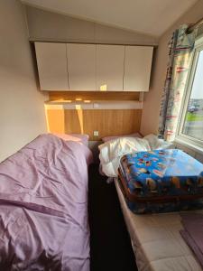 博斯Caravan 4 - Cambrian Coast Caravan Park的一间小卧室,配有两张床和窗户