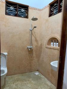 帕杰Chokoro House的带淋浴和卫生间的浴室