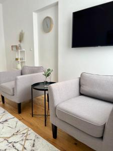 格拉茨Wohnung in Graz的客厅配有两把椅子和电视