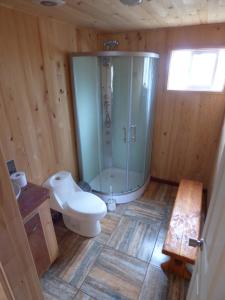 PueloCabañas Austral Rivers的带淋浴、卫生间和盥洗盆的浴室