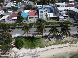 圣安德烈斯Bahia San Andres Hospedaje的棕榈树海滩的空中景致
