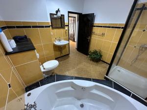 阿尔姆尼卡Playa Cotobro LA HIGUERA的带浴缸、卫生间和盥洗盆的浴室
