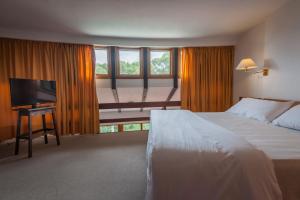 皮纳马尔Hotel del Bosque的配有一张床和一台平面电视的酒店客房