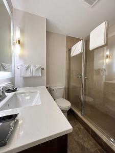 怀特霍斯厄齐沃特酒店的一间带水槽、卫生间和淋浴的浴室