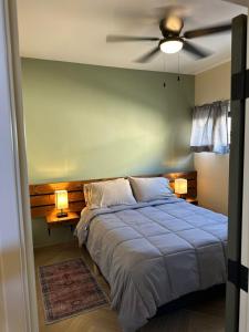 恩塞纳达港Habitación 23 - Green Casitas的一间卧室配有一张蓝色的床和吊扇