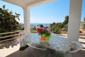 佩斯科勒海滨Casa Vacanze Rosita的阳台上的花瓶桌子