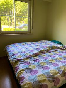 根特Room in flat 174的窗户客房内的一张带五颜六色棉被的床