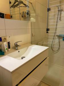 根特Room in flat 174的白色的浴室设有水槽和淋浴。