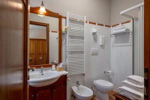 曼托瓦Hotel Antica Dimora的一间带水槽、卫生间和镜子的浴室