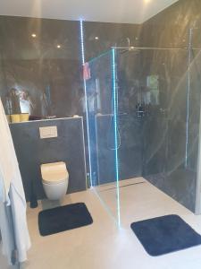 菲拉赫Luxury - Loft的带淋浴、卫生间和垫子的浴室
