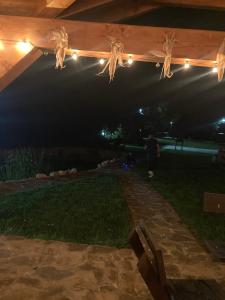 莱斯诺夫La Cabane Râșnov的夜晚在庭院里放着一群灯光