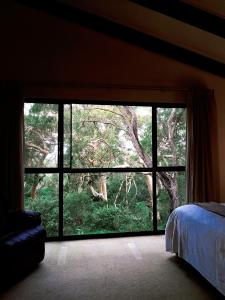 GracetownKarriview的一间卧室设有大窗户,享有森林美景
