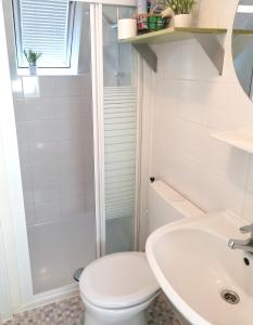 杜柏The Green Apple Durbuy的白色的浴室设有卫生间和水槽。