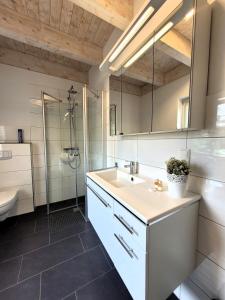 温特贝格Winterberg Chalet 21096的一间带水槽和淋浴的浴室