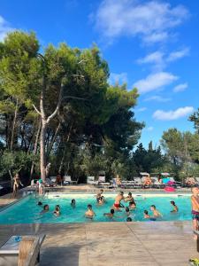 圣凯撒利亚温泉Camping La Scogliera的一群人在游泳池里