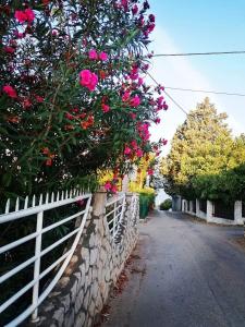尤塔哈Apartmani LJUBICA的道路一侧有粉红色花的围栏