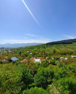 SuramiGUEST HOUSE 'KIDOBANI'的田野中小镇的景色