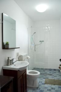 特尔古尼亚姆茨Casa Humulesti, fii vecinul lui Ion Creanga的浴室配有卫生间、盥洗盆和淋浴。