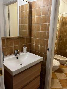 萨沃纳Darsena Apartments的一间带水槽、卫生间和镜子的浴室