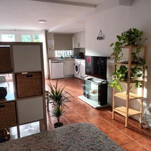 卡拉德莫尔Apartamento Bambadela的厨房配有白色家电和盆栽植物