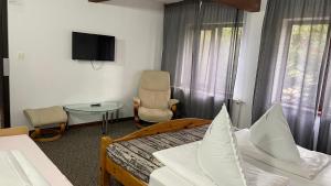 布拉索夫Casa Piscu Ioanei的一间卧室配有一张床、一台电视和一把椅子