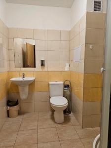 皮塞克布利酒店的一间带卫生间和水槽的浴室